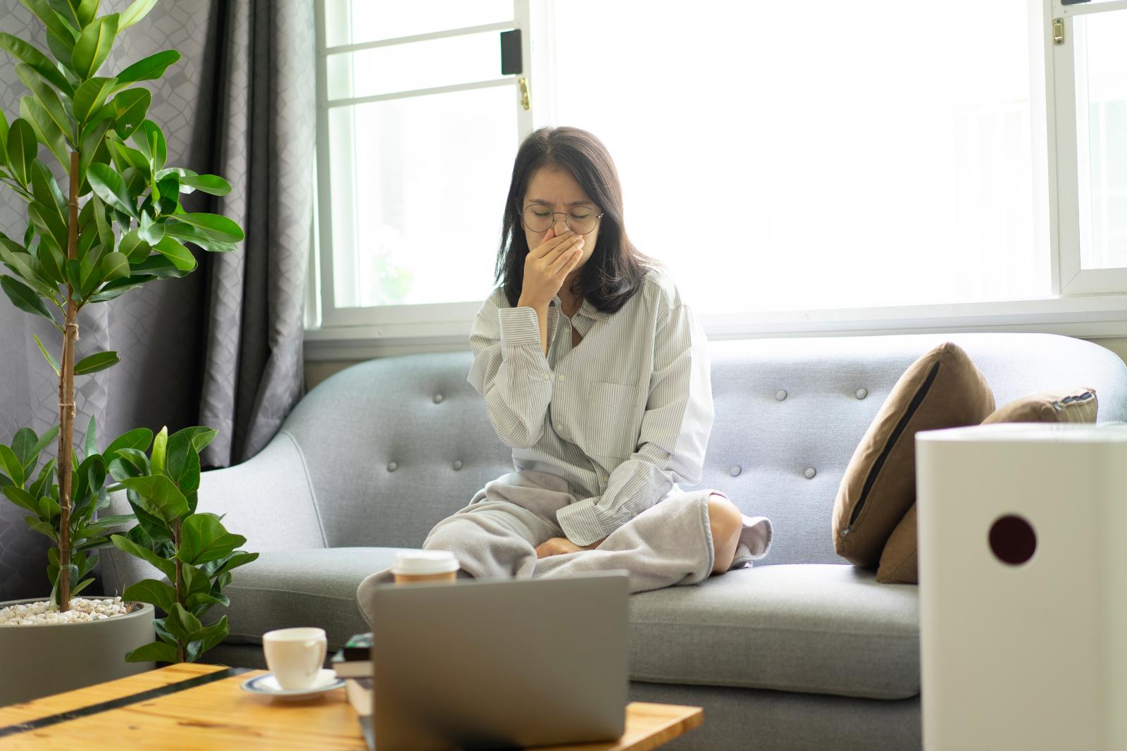 làm sạch không khí trong nhà