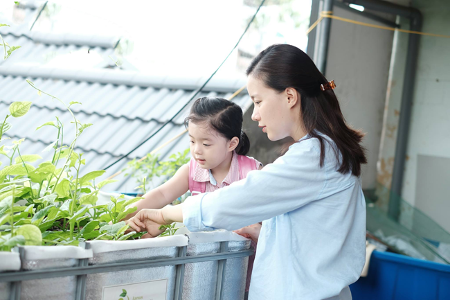 Dạy con cách chăm sóc cây Dạy con cách chăm sóc cây