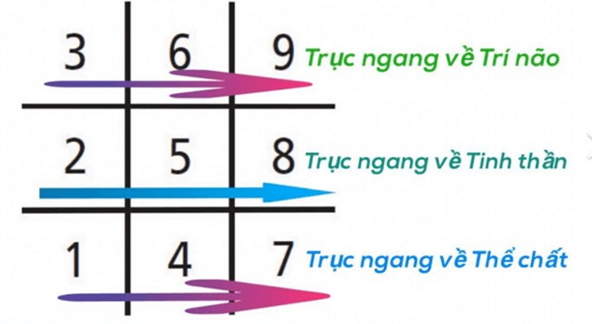 Biểu đồ tên mẫu trong thần số học