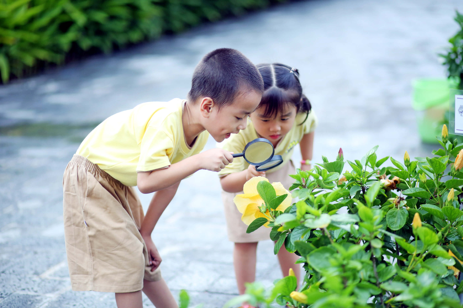 Cách người Do Thái dạy con thông minh cha mẹ nào cũng nên học