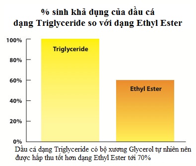 Quá trình hấp thu và chuyển hóa Triglycerid tự nhiên hiệu quả hơn 1 Quá trình hấp thu và chuyển hóa Triglycerid tự nhiên hiệu quả hơn 1