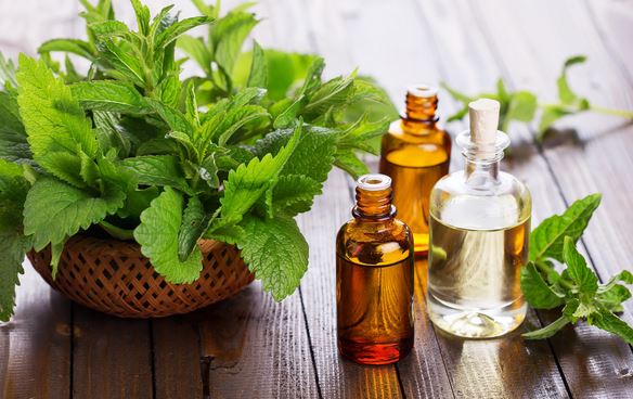 7 mẹo làm sạch nhà và đồ dùng bằng tinh dầu bạn nhất định phải biết - Ảnh 3. 7 mẹo làm sạch nhà và đồ dùng bằng tinh dầu bạn nhất định phải biết - Ảnh 3.